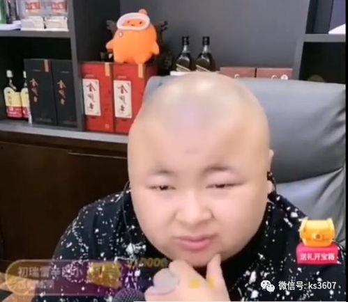 老狗爆料辛巴视频大全集,老狗爆料背后的真相全解析